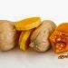 butternut squash, fresh vegetable, soup, vegetable, ingredients, winter squash, butternut, squash, food, pumpkin, vegetarian, diet, nutrition, cooking, healthy, cucurbita moschata, winter squash, squash, squash, squash, squash, squash