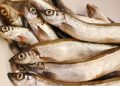 fish, capelin, nature, food, cooking, fresh