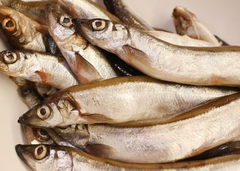 fish, capelin, nature, food, cooking, fresh