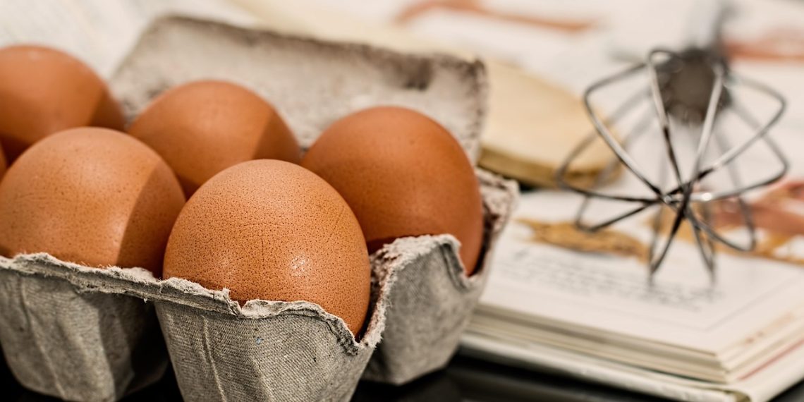 eggs, ingredients, baking, food, egg carton, raw, kitchen, healthy, eggshells, protein, whisk, cookbook, recipe, uncooked, food preparation, baking ingredients, eggs, eggs, eggs, eggs, eggs, baking