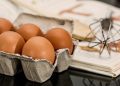 eggs, ingredients, baking, food, egg carton, raw, kitchen, healthy, eggshells, protein, whisk, cookbook, recipe, uncooked, food preparation, baking ingredients, eggs, eggs, eggs, eggs, eggs, baking