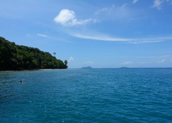 green trees on island during daytime