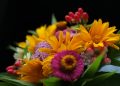 A close up of a bouquet of flowers