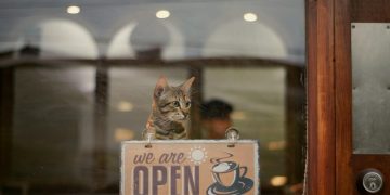 A cute tabby cat sits behind a cafe window, peering over an 'Open' sign.