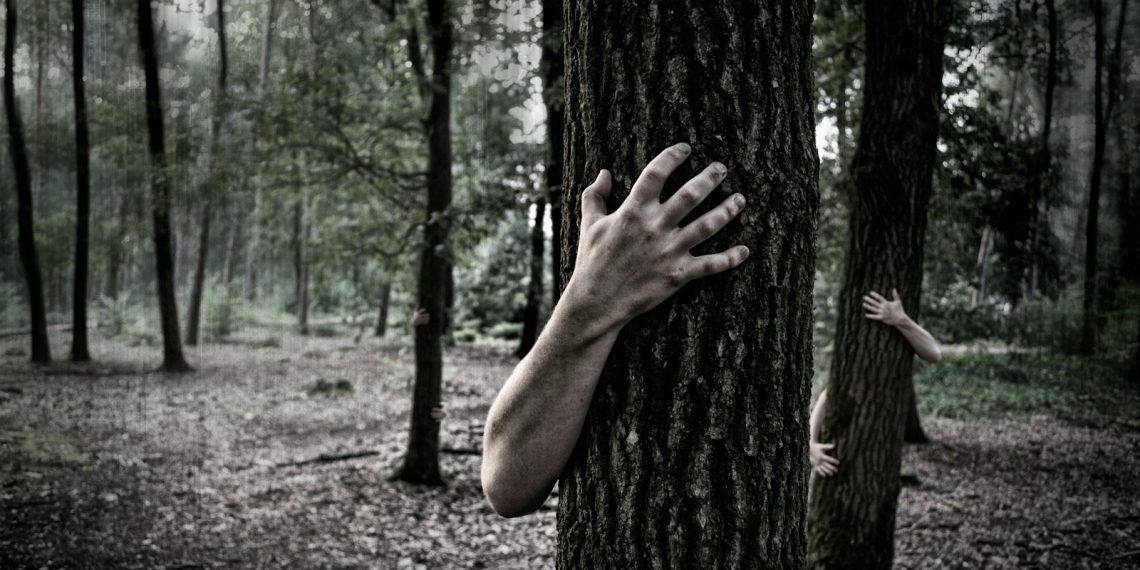 person hugging tree