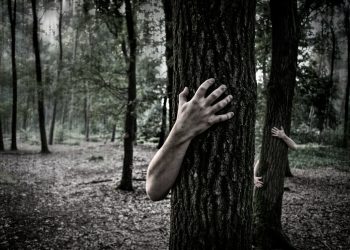 person hugging tree