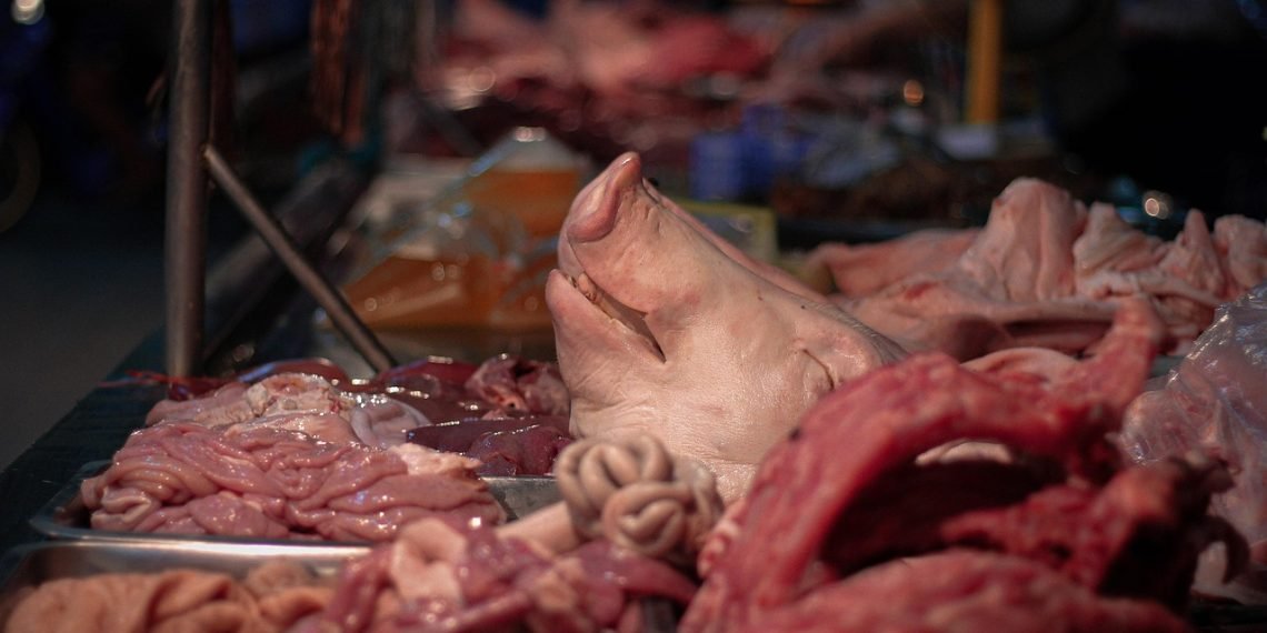 pig, head, meat, mammal, food, cultural, red, young