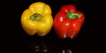 peppers, vegetables, red pepper, yellow pepper, bell peppers, capsicum