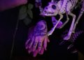 tattoo, hands, scary, rose tattoo, mood, bones, skeleton